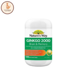 Viên Uống Bổ Não Nature's Way Ginkgo 2000 Brain & Memory - Hộp 120 Viên
